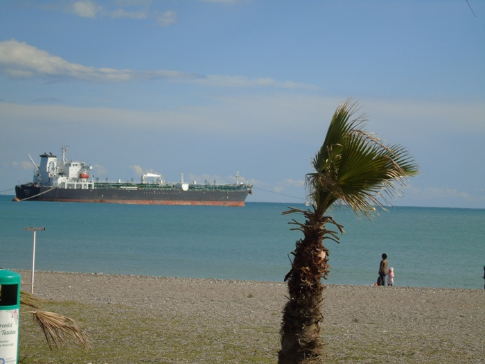 DSC05703 (700x525, 285Kb)