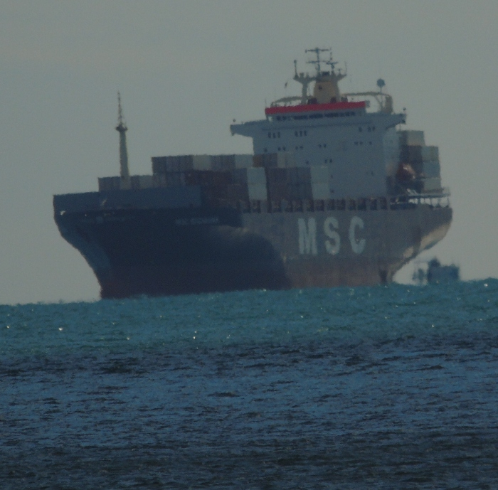 DSC05712 (700x689, 383Kb)