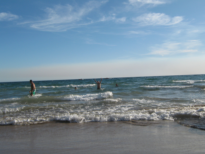 IMG_7800 (700x525, 436Kb)