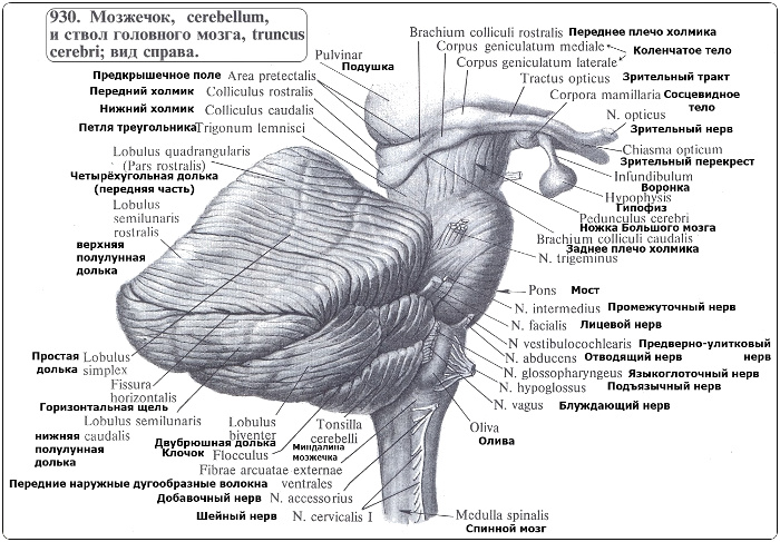 4315980_mozjechok_i_most (700x487, 163Kb)