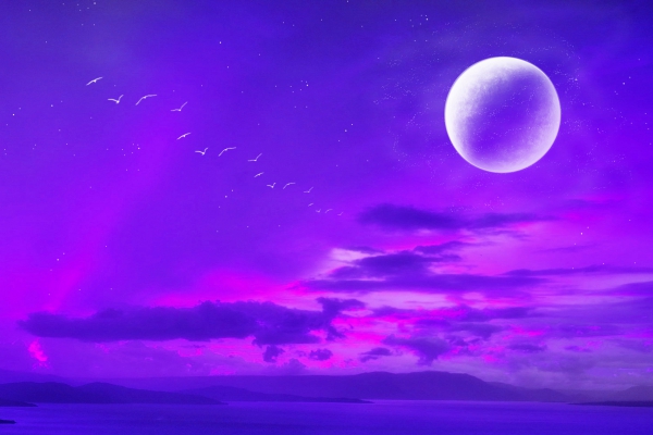 69675 (600x400, 141Kb)
