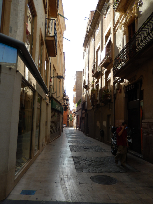 DSCN0125 (525x700, 408Kb)