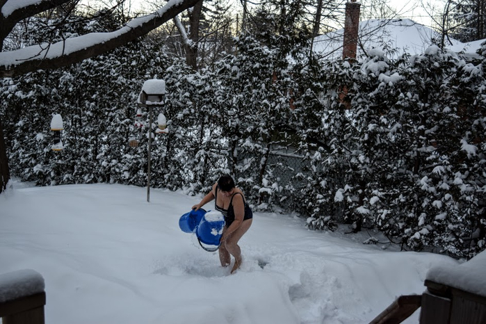 seg2 (700x466, 352Kb)