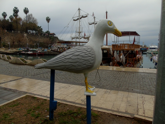 DSC06751 (700x525, 348Kb)