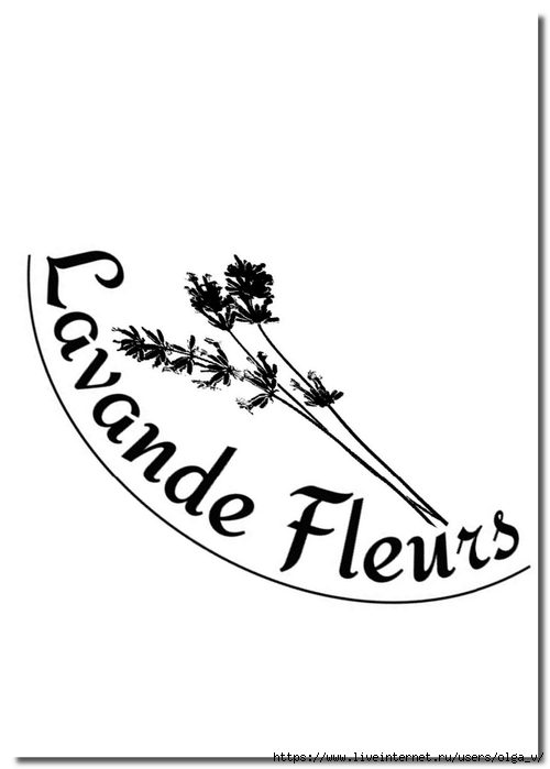 lavande fleurs (500x700, 78Kb)