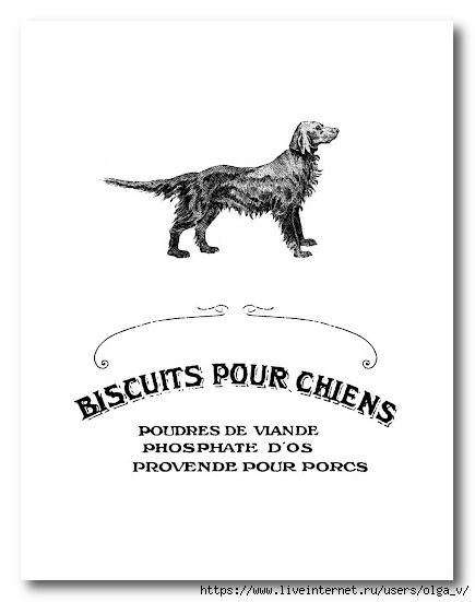 99508446_large_french_dog_bisquit_graphicsfairy_sm (435x551, 64Kb)