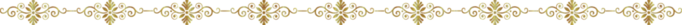   (1) (700x25, 35Kb)