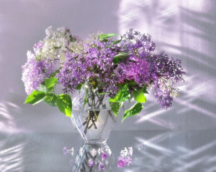 0_135532_ef6d5233_XL (700x558, 149Kb)