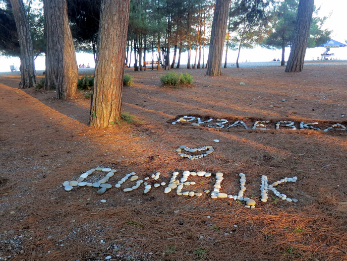 IMG_4875 (700x526, 541Kb)