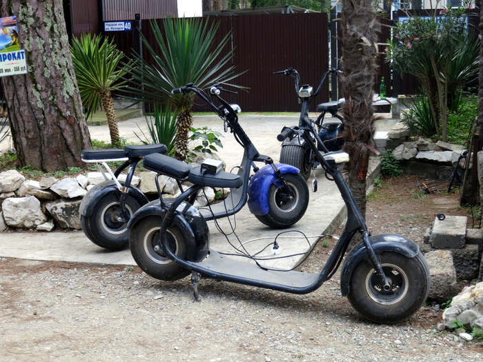 IMG_5145 (700x525, 532Kb)