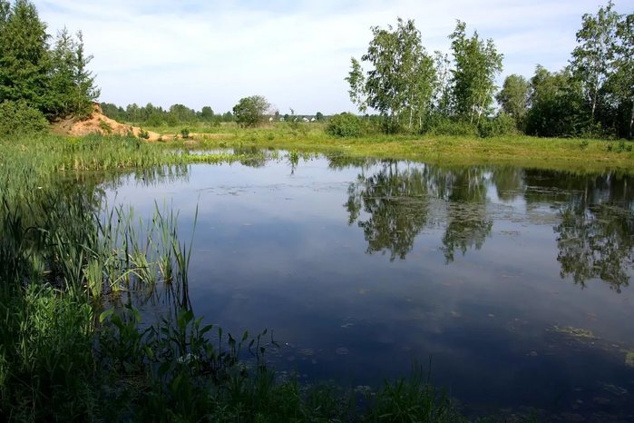 Участок деревня озера. Озеро в деревне Эдон. Озеро Васюхино в Коченево. Тюй озеро деревня. Бекасово деревня озеро.