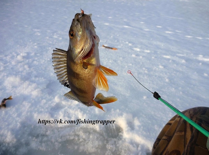 #Охота@fishingtrapper Статьи об охоте. местами, где порой удавалось #Охота@fishingtrapper Статьи об охоте. местами, где порой удавалось