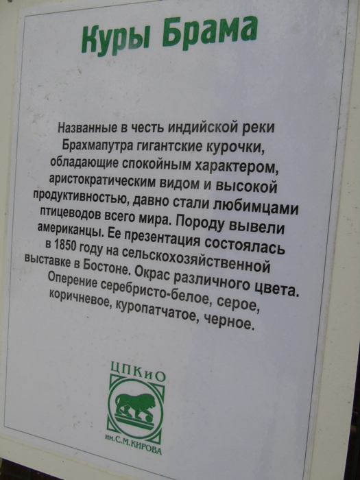 DSC07382 (525x700, 279Kb)