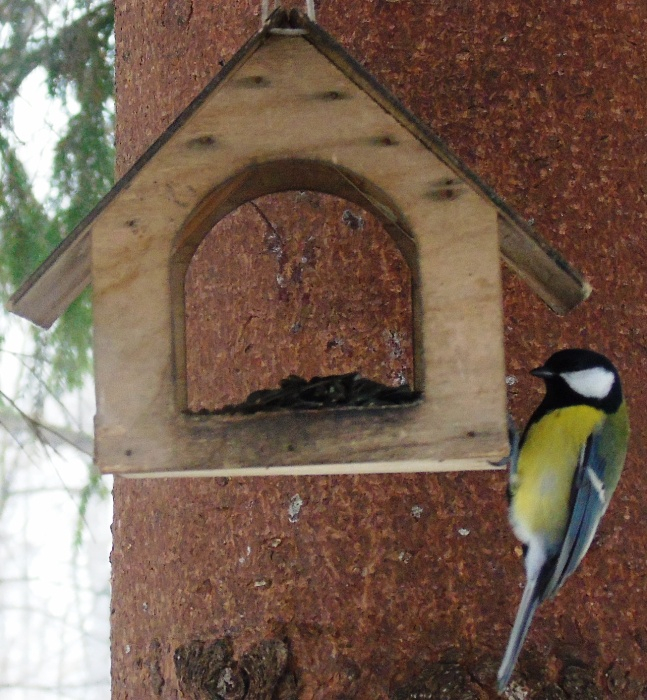 DSC07477 (647x700, 487Kb)