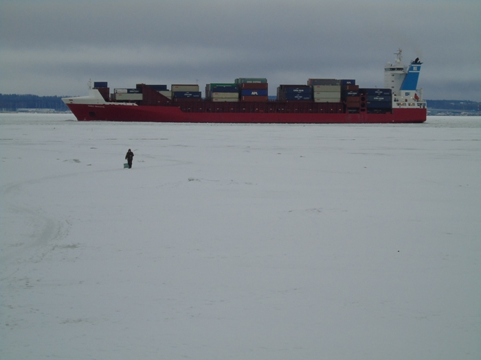 DSC07578 (700x525, 185Kb)