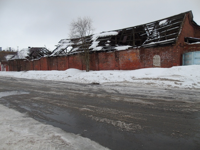 DSC07586 (700x525, 316Kb)