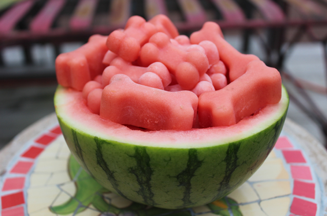 Frosty-Watermelon-Dog-Treat-Recipe (637x421, 243Kb)