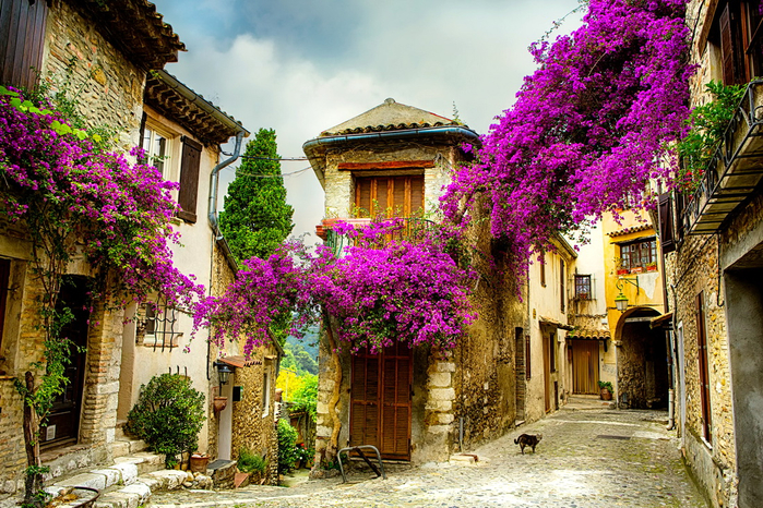 provence-destinations-france-4 (700x466, 622Kb)