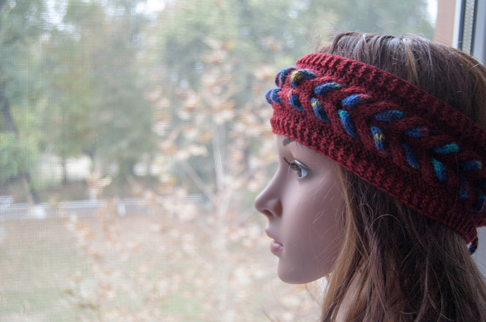 DSC_1869 (700x465, 352Kb)