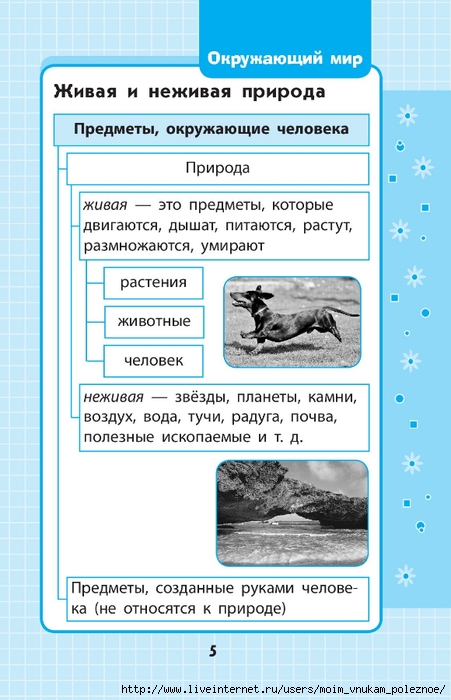 Okruzhayuschiy_mir_1-4_klass_V_skhemakh_i_tablitsa_005 (451x700, 206Kb)
