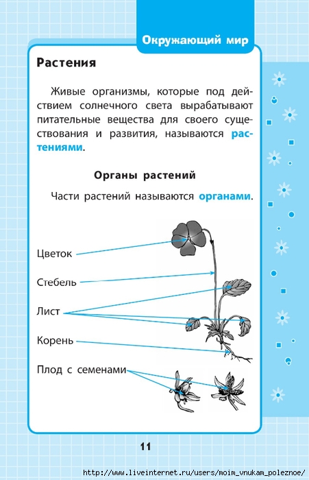 Okruzhayuschiy_mir_1-4_klass_V_skhemakh_i_tablitsa_011 (451x700, 166Kb)