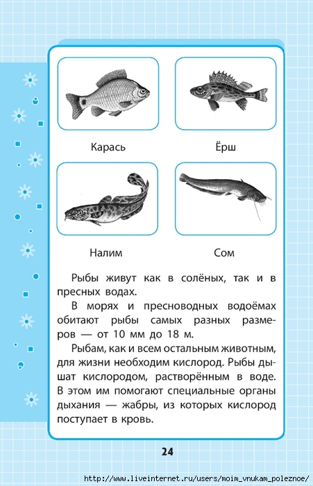 Okruzhayuschiy_mir_1-4_klass_V_skhemakh_i_tablitsa_024 (451x700, 185Kb)