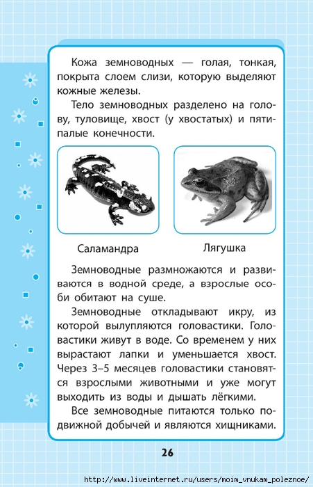 Okruzhayuschiy_mir_1-4_klass_V_skhemakh_i_tablitsa_026 (451x700, 221Kb)