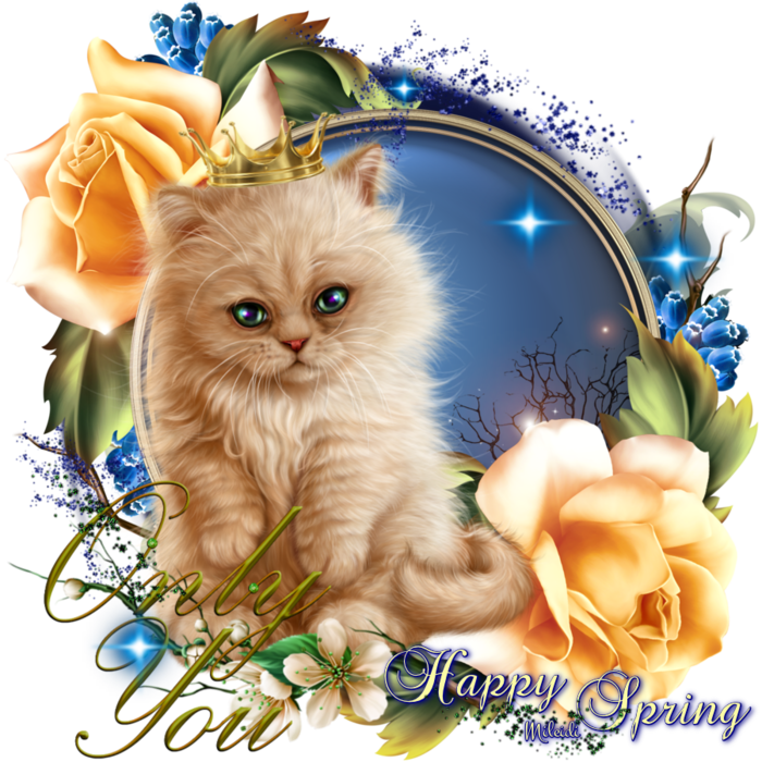 6394601_DO3kUQoGh3Cu_1 (700x700, 750Kb)