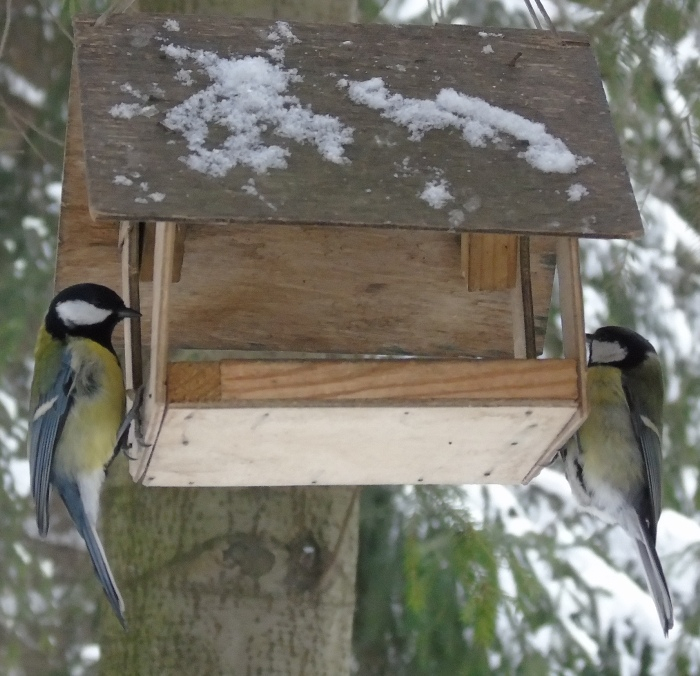 DSC07935 (700x676, 375Kb)