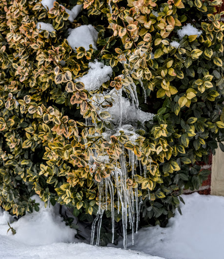 seg2 (459x532, 313Kb)