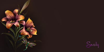  (400x200, 50Kb)