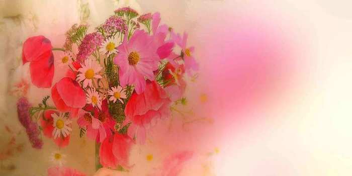 7 (700x350, 16Kb)