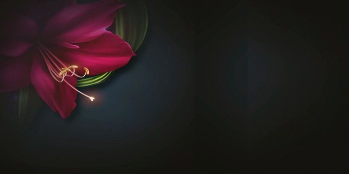 --1 (700x350, 10Kb)