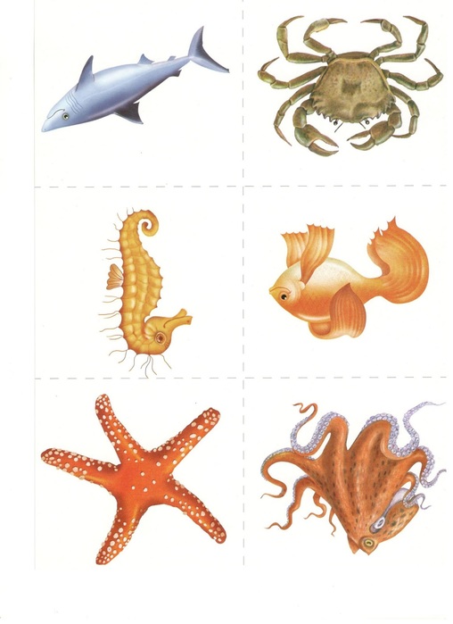 Scan8 (508x700, 72Kb)