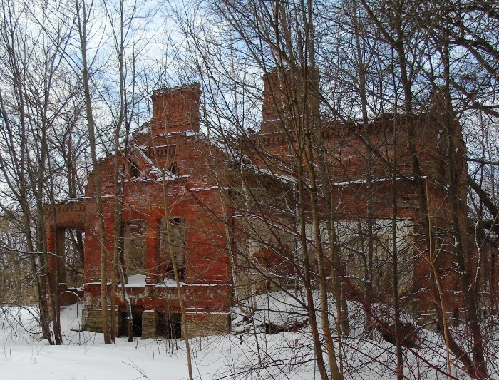 DSC08072 (700x533, 566Kb)