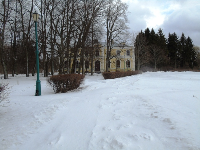 DSC08091 (700x525, 338Kb)