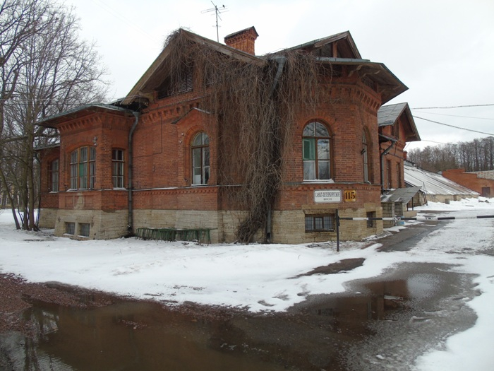 DSC08103 (700x525, 324Kb)