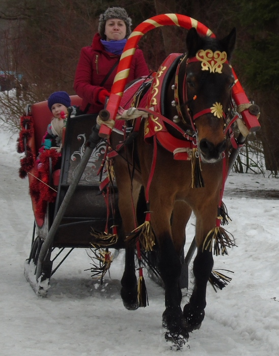 DSC08167 (548x700, 354Kb)