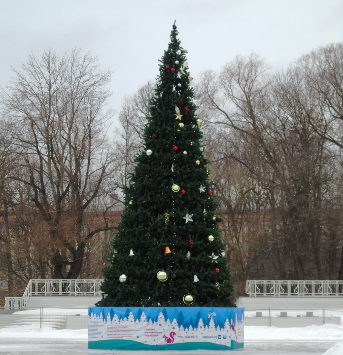 DSC08235 (676x700, 502Kb)