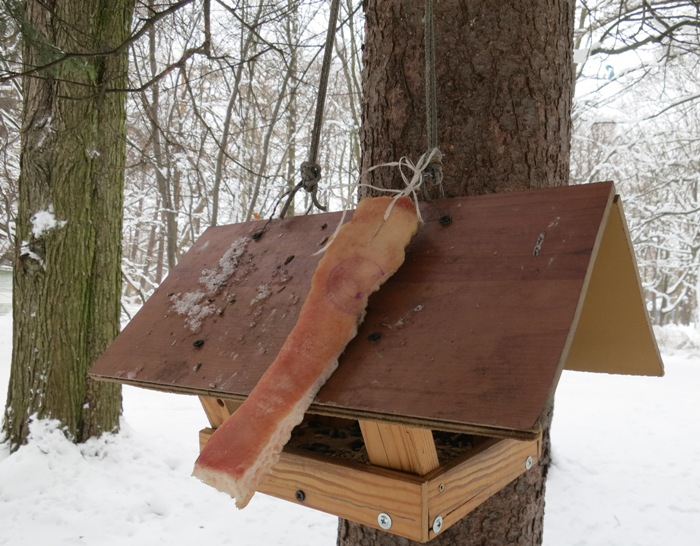 IMG_1943 (700x546, 351Kb)