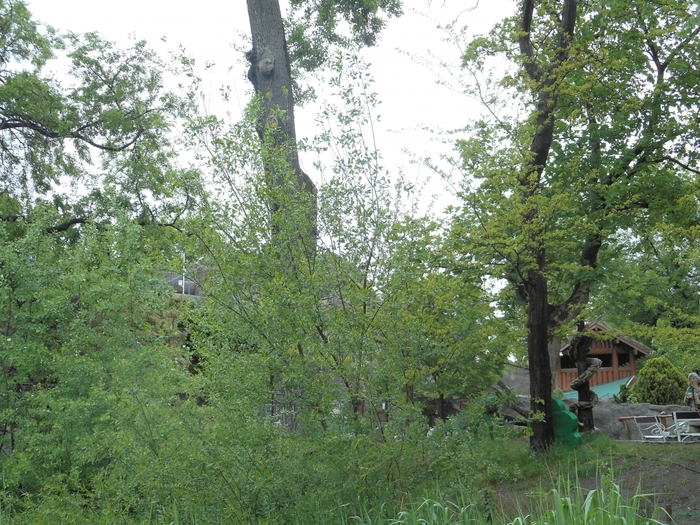 4752699_ve_1531 (700x525, 371Kb)