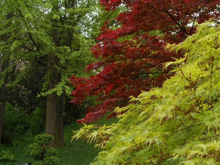 4752699_ve_1586 (700x525, 373Kb)
