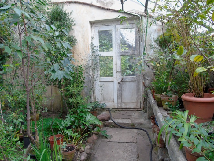 DSC08477 (700x525, 475Kb)