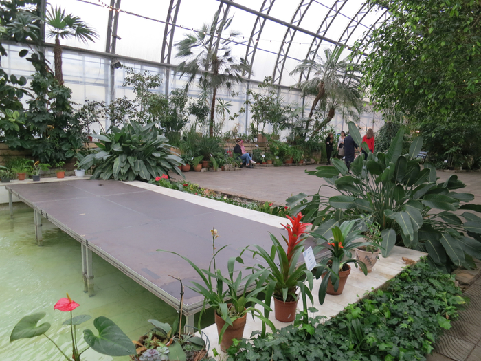 IMG_3418 (700x525, 503Kb)