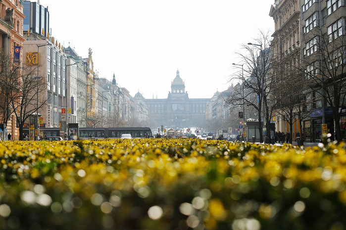 Visit-Prague (700x466, 136Kb)