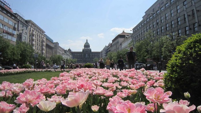 13 - Springtime in Prague (700x394, 83Kb)