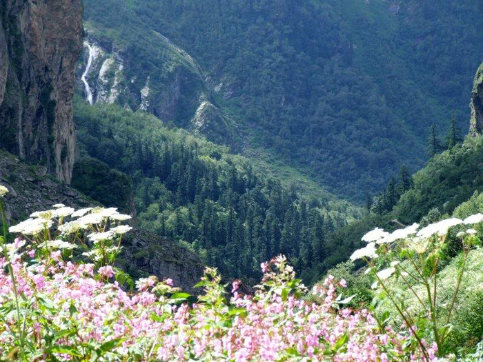 950_Valley_of_flowers_Himalaya (8) (700x525, 480Kb)