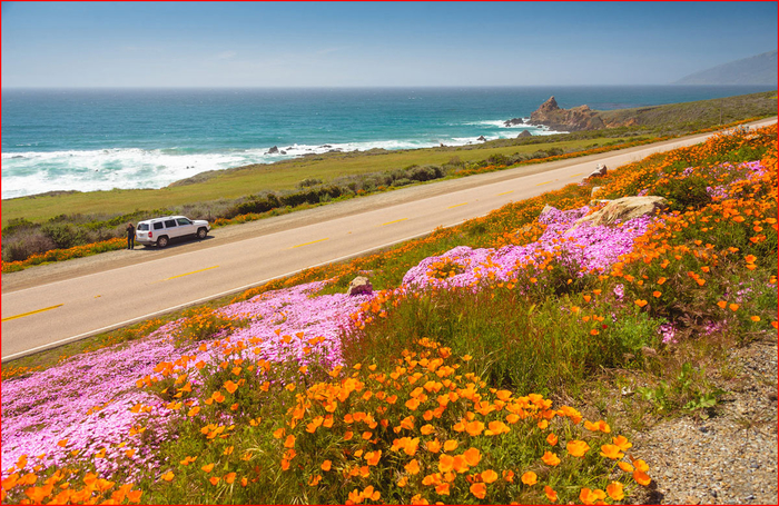 fs1327900-16 (700x455, 539Kb)