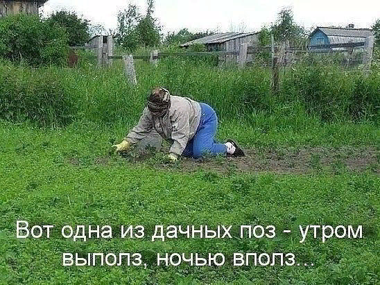 1 (548x411, 488Kb)