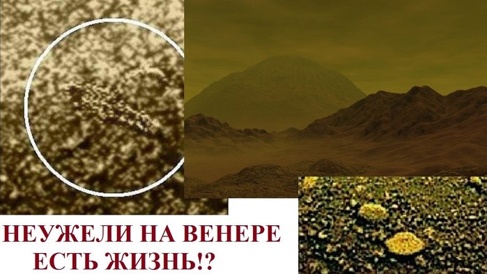 6098670_foto7_Jizn_na_Venere (700x393, 65Kb)